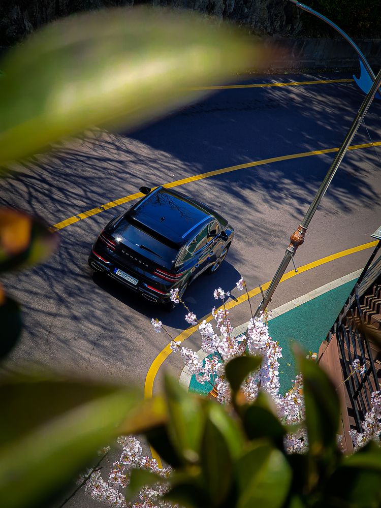 Фотография автора Al .Elf