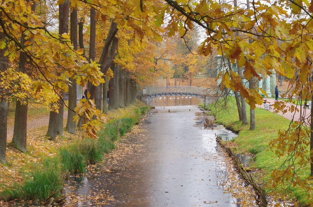 Photograph by Светлана Дисяк