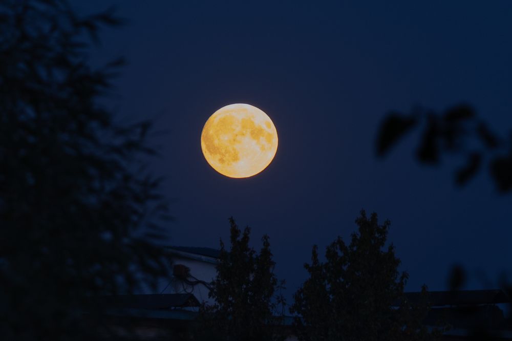 Photograph by Сергей Игнатьев