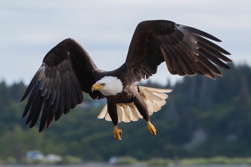 Photograph by Марина Маликова