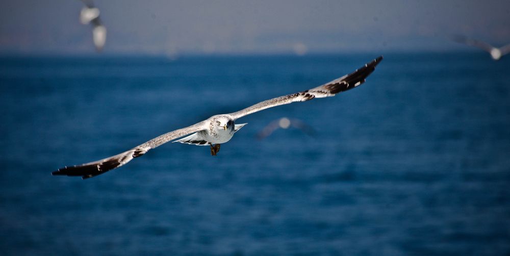 Photograph by zaid alwattar