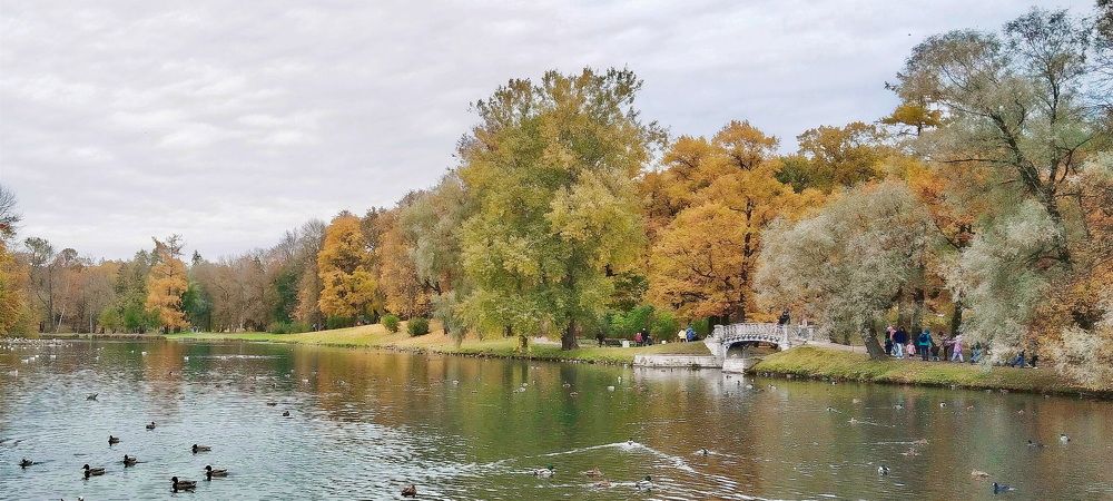 Photograph by Светлана Дисяк