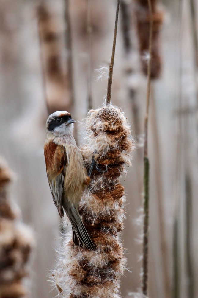 Photograph by Evgenia Korchagova