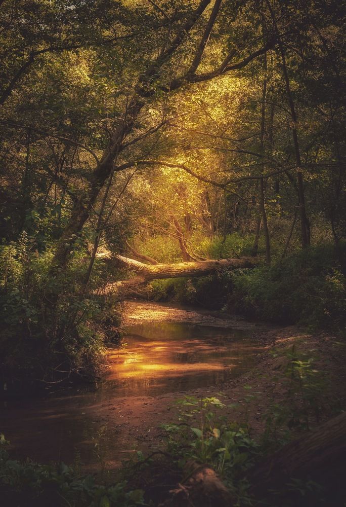 Photograph by Олеся Лагутина