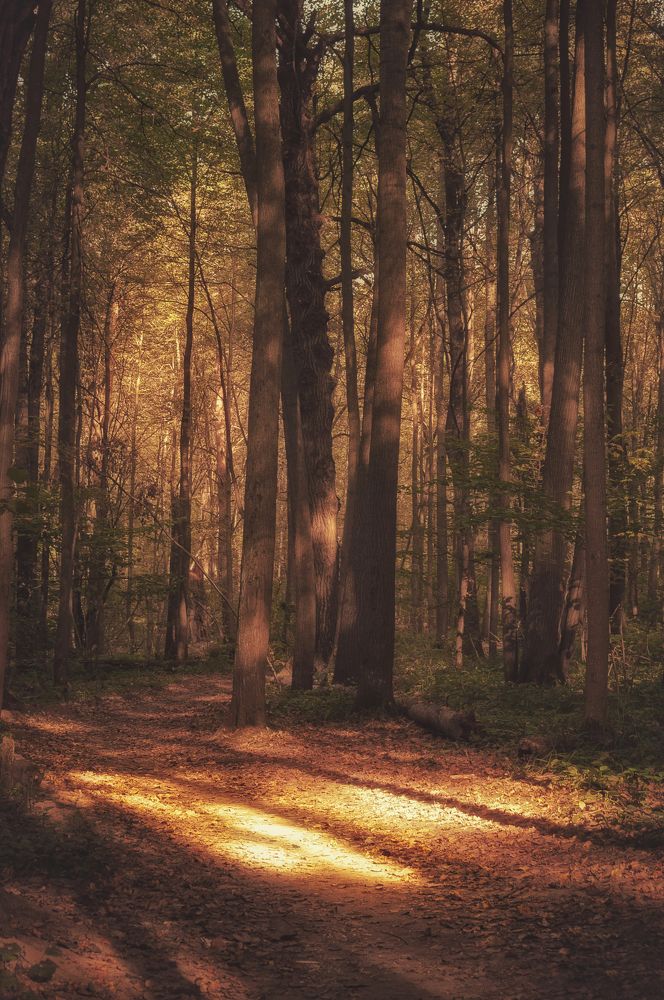 Photograph by Олеся Лагутина