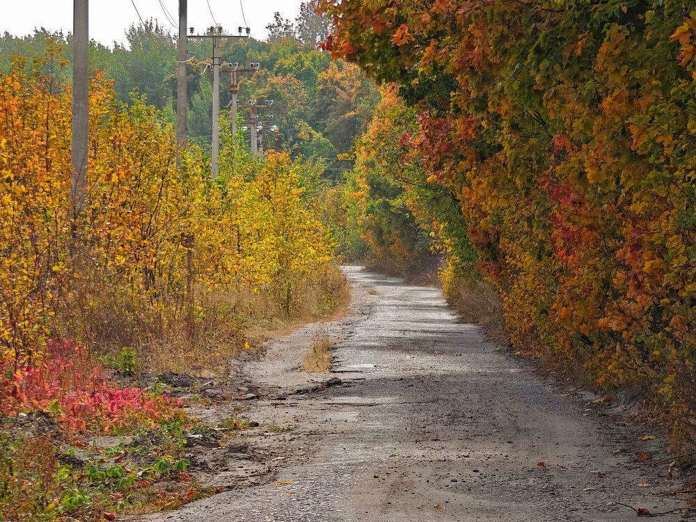 Photograph by Владимир Фролов