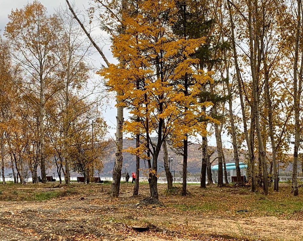 Photograph by Света Раннева