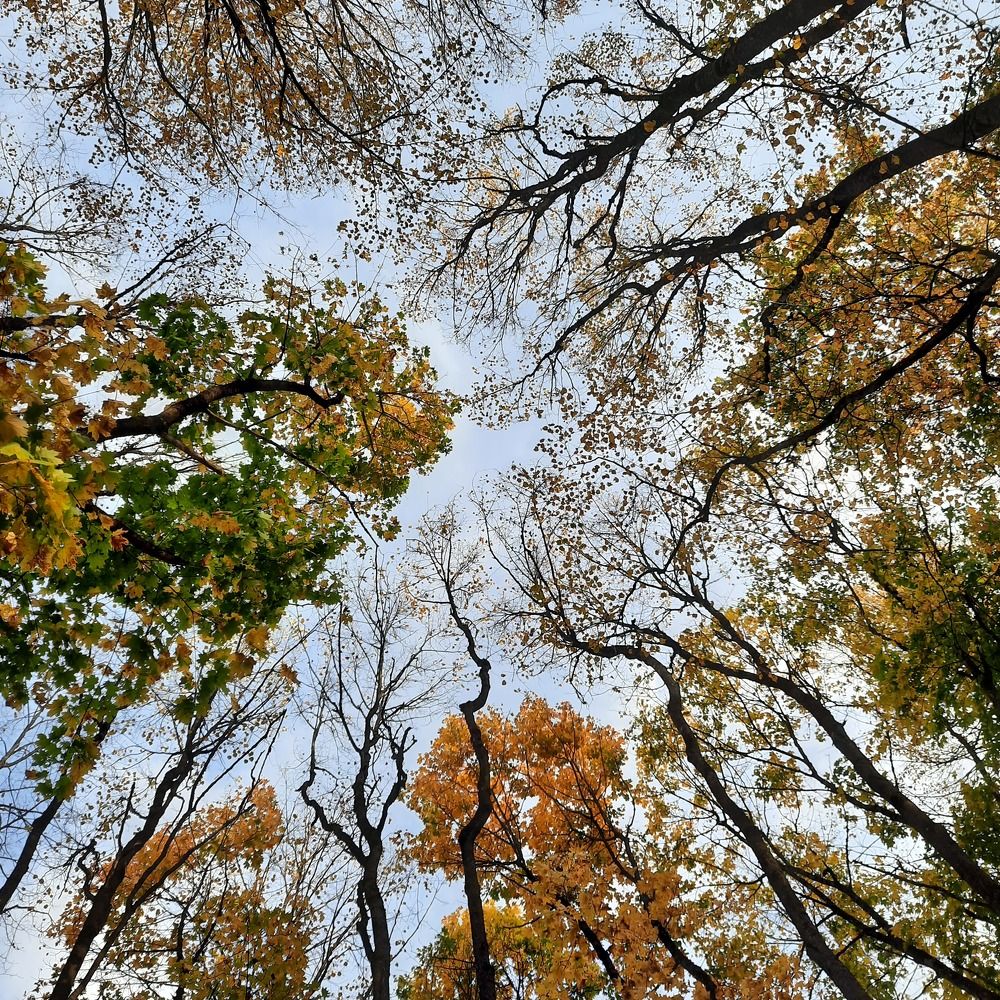 Photograph by Мирон Сергей