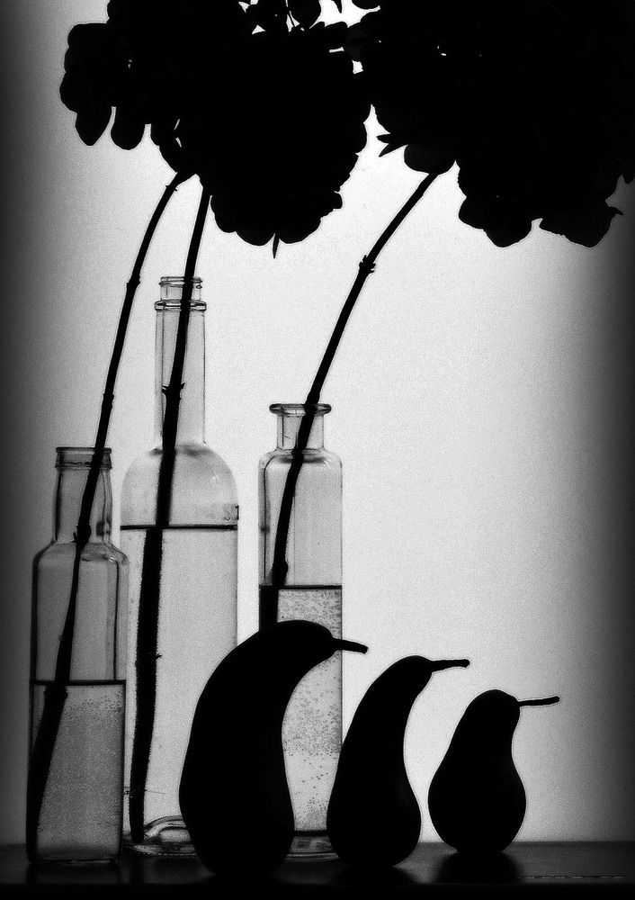 Фотография автора Александр Зарх