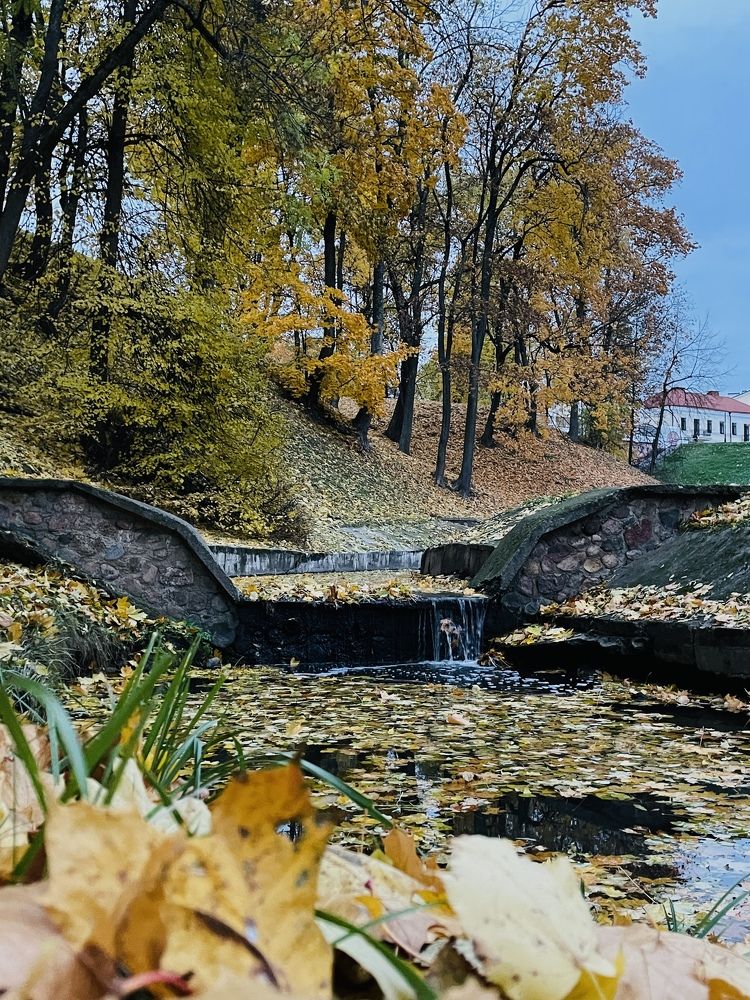 Фотография автора Ольга Каминская