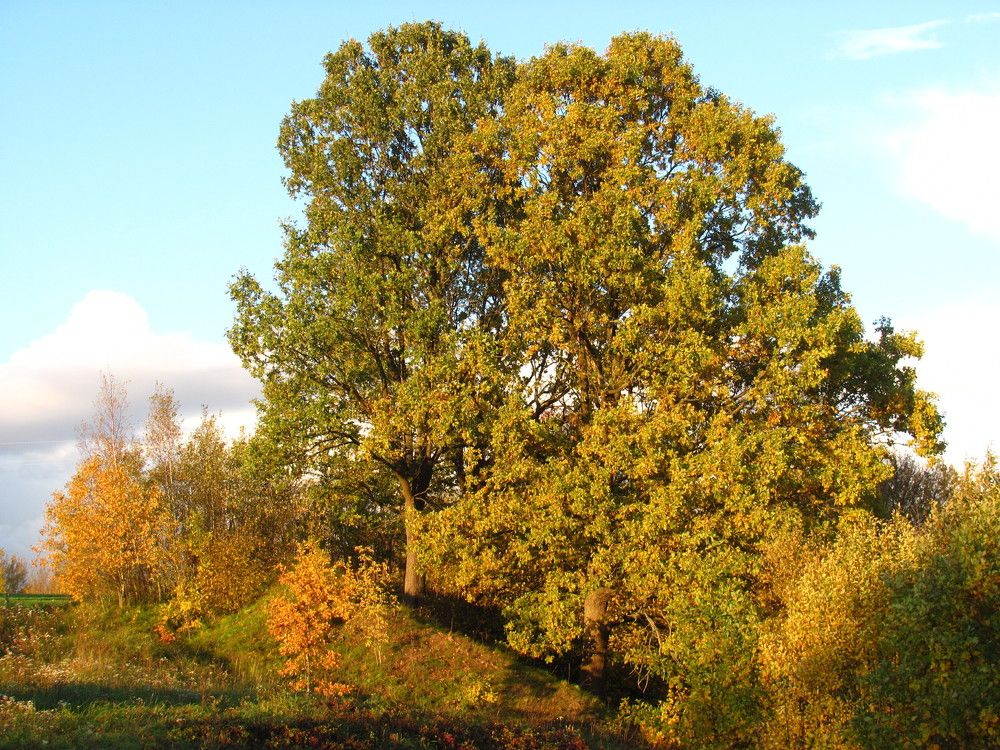 Photograph by Юлия