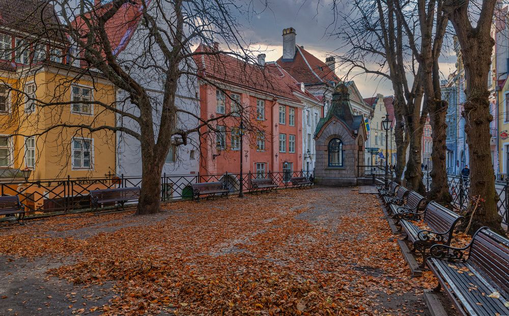 Photograph by yuri kutukov