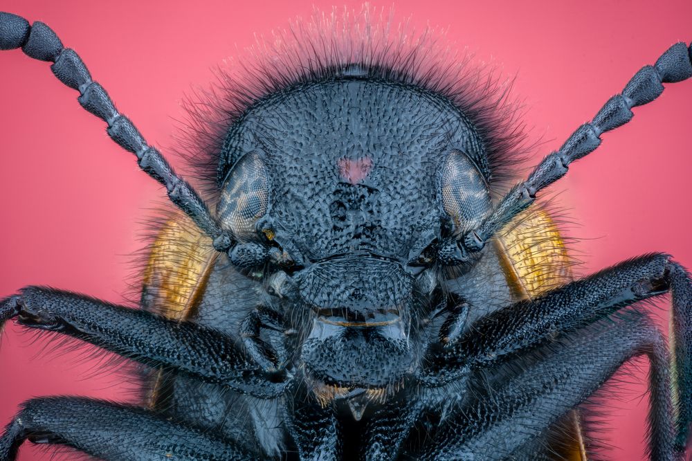 Фотография автора Jose CO