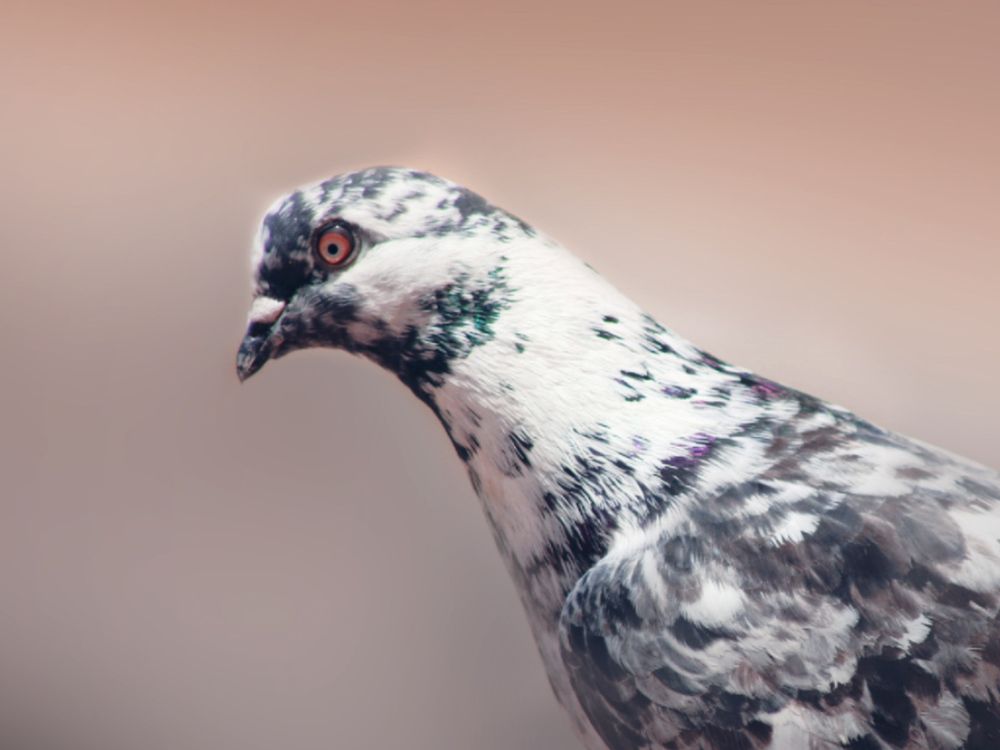 Фотография автора Tahani Almarafi