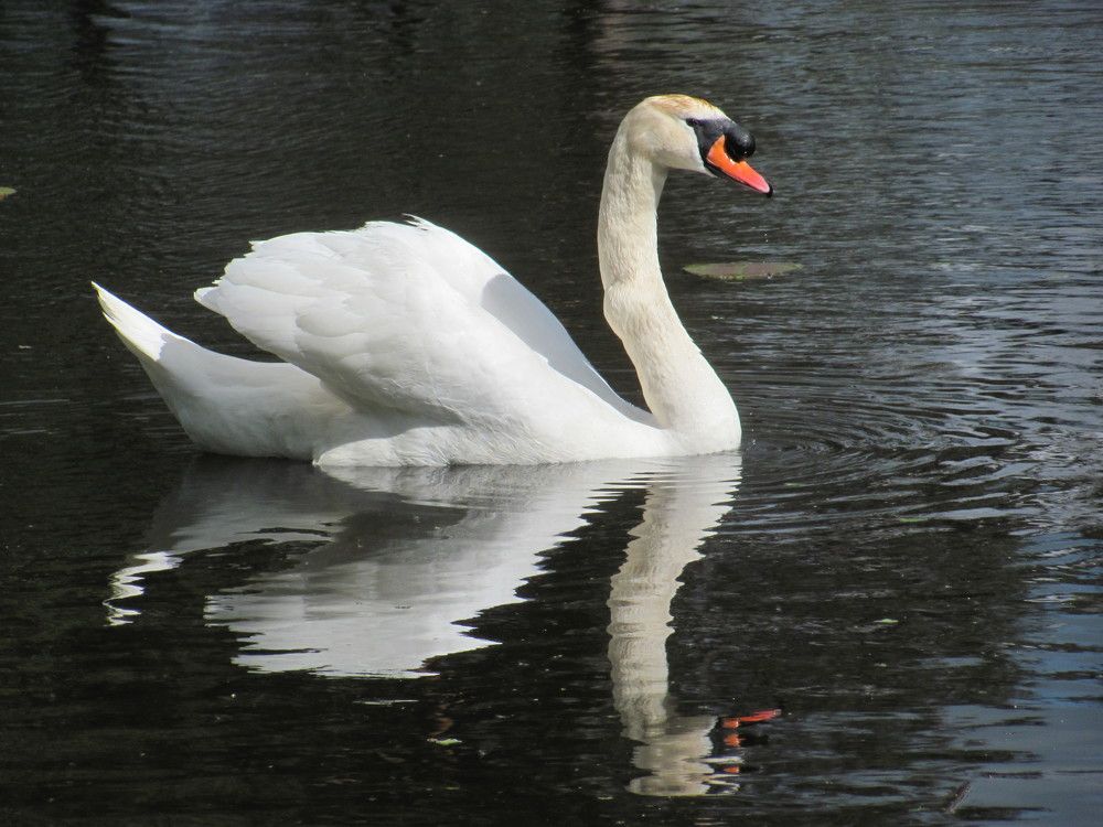 Photograph by Юлия