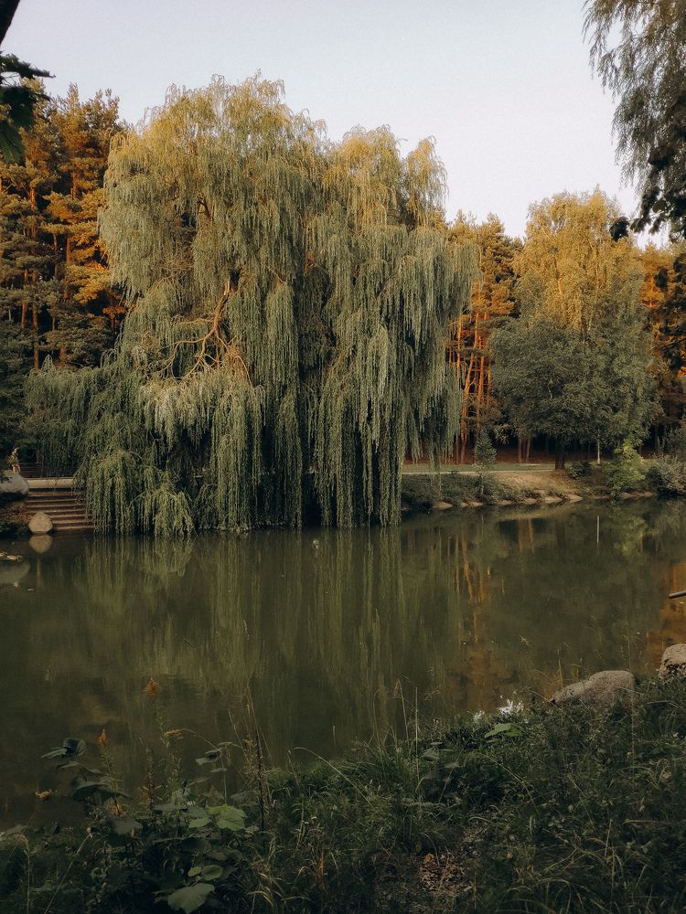 Photograph by Светлана Фоменко