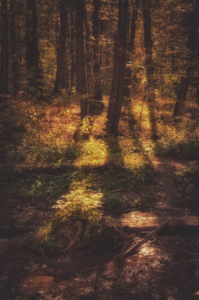 Photograph by Олеся Лагутина