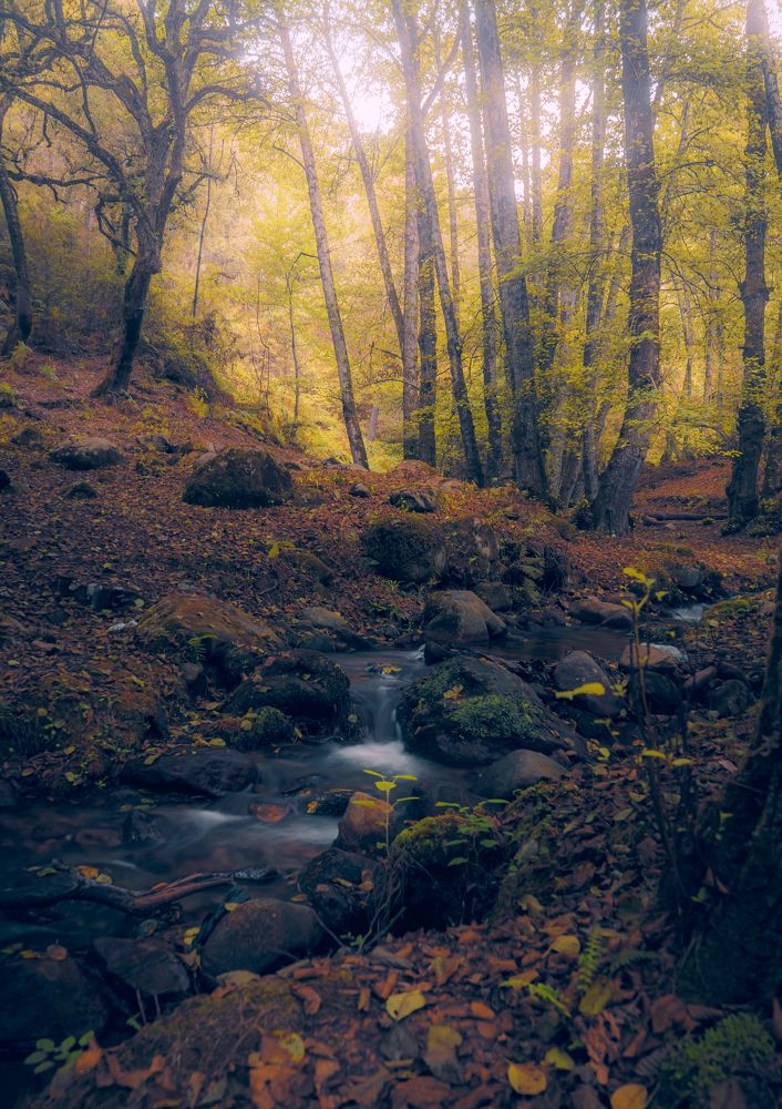 Photograph by Samir Meftah