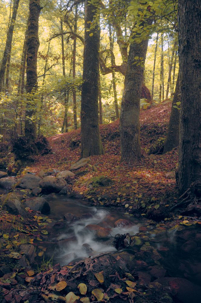 Photograph by Samir Meftah