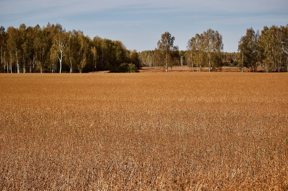 Photograph by Лариса Белашова