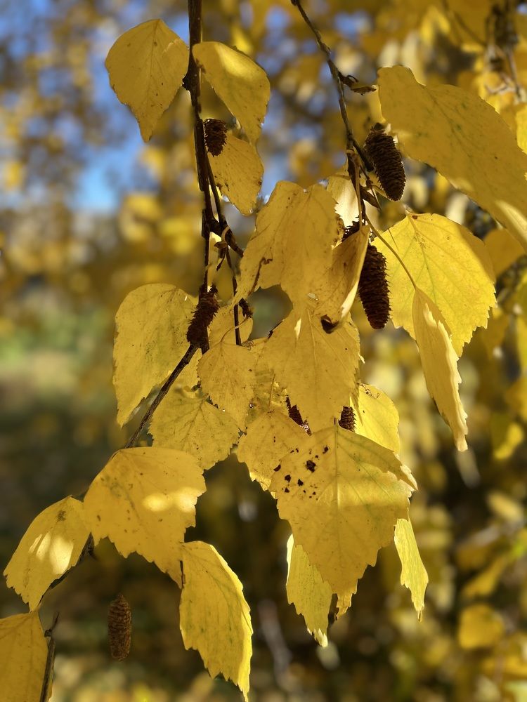 Photograph by Nadezda Yablokova