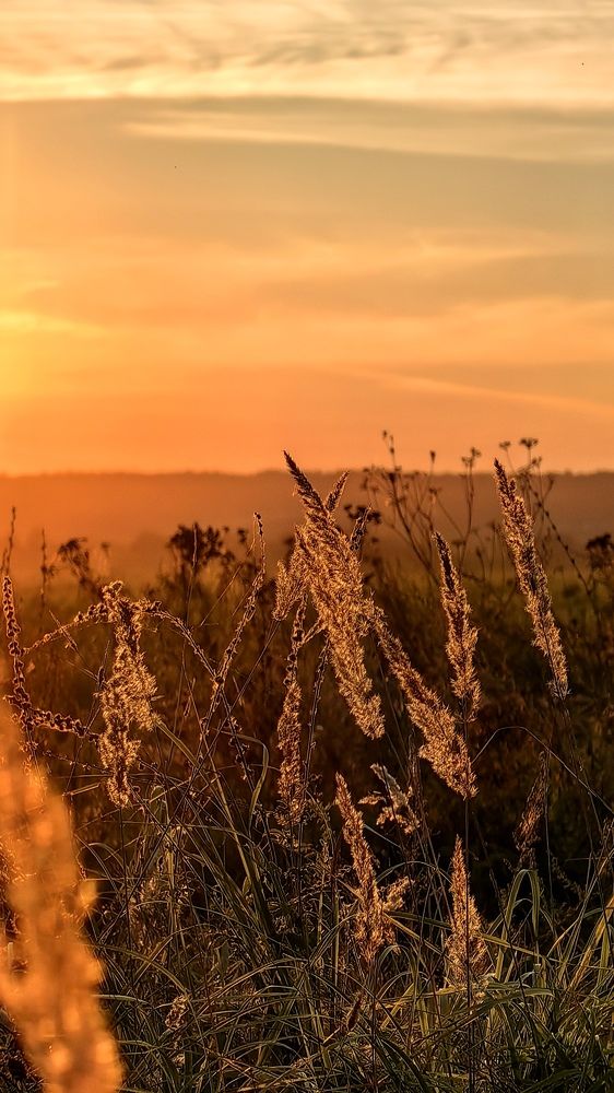 Photograph by Татьяна