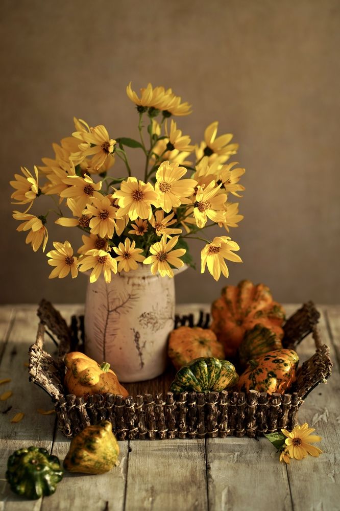 Photograph by Катерина Глизнуца