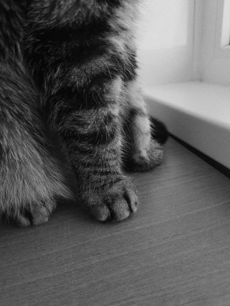 Photograph by Александра