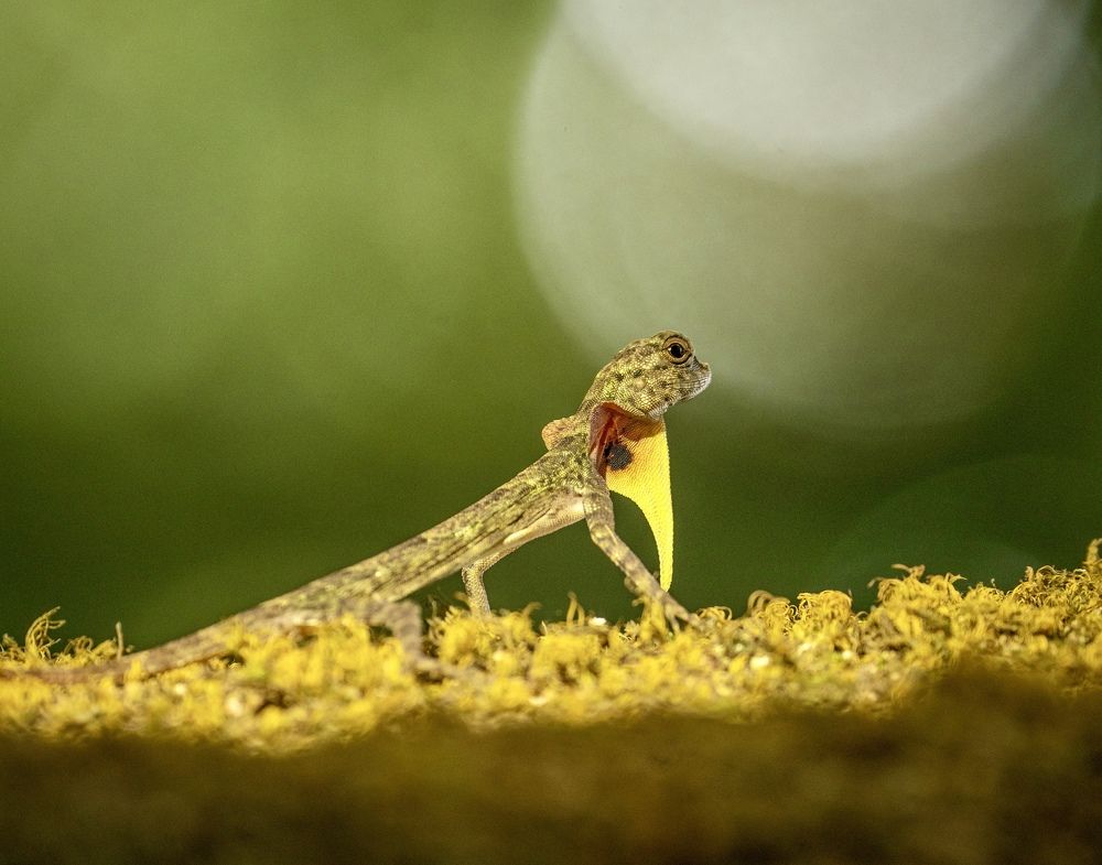Photograph by Владимир Цветов