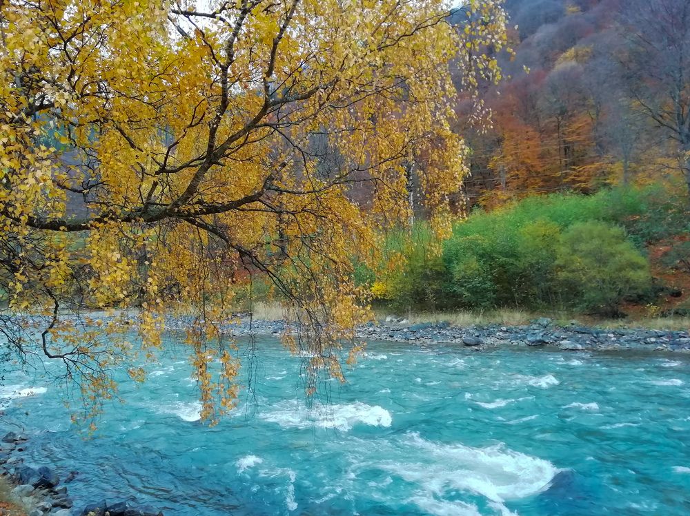 Photograph by Мария Толмачева