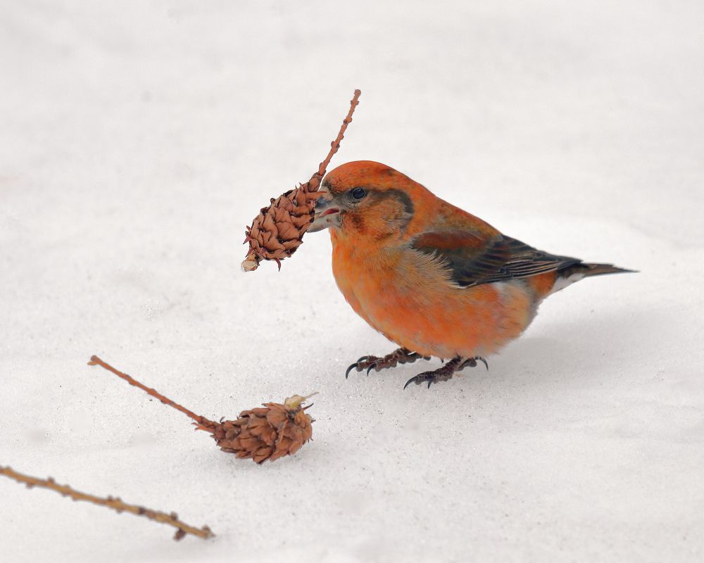 Photograph by Титов Александр