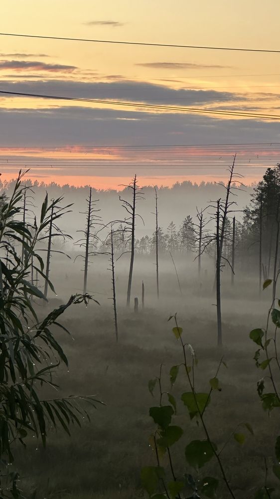 Photograph by Svetlana Kovalchuk