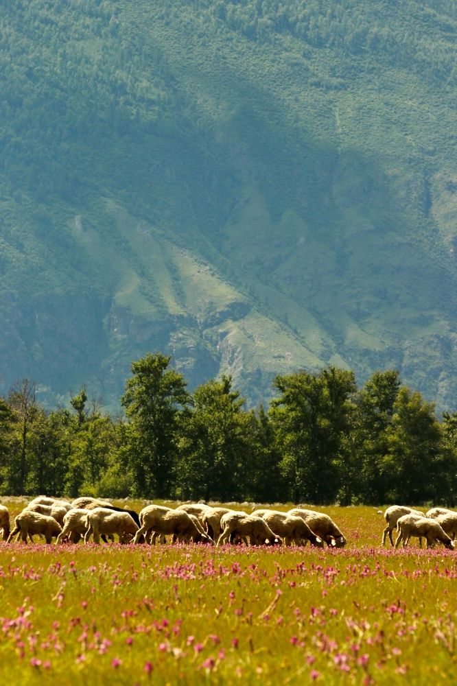 Photograph by Svetlana Kovalchuk