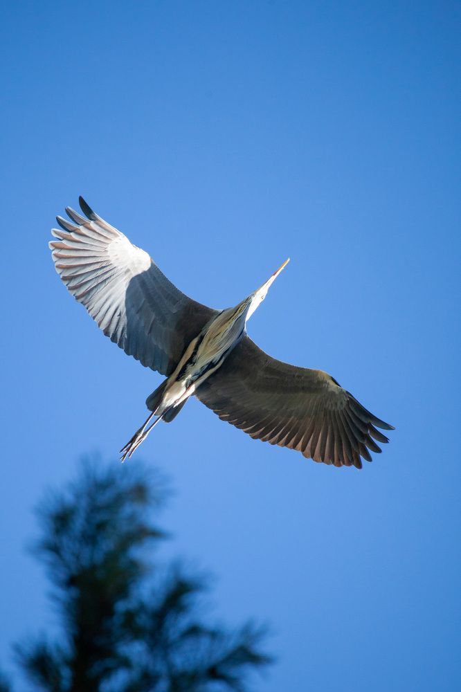 Photograph by Алексей