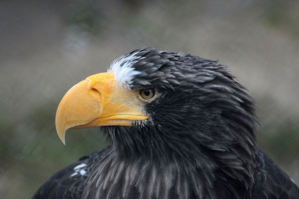 Photograph by Иван Овчинников