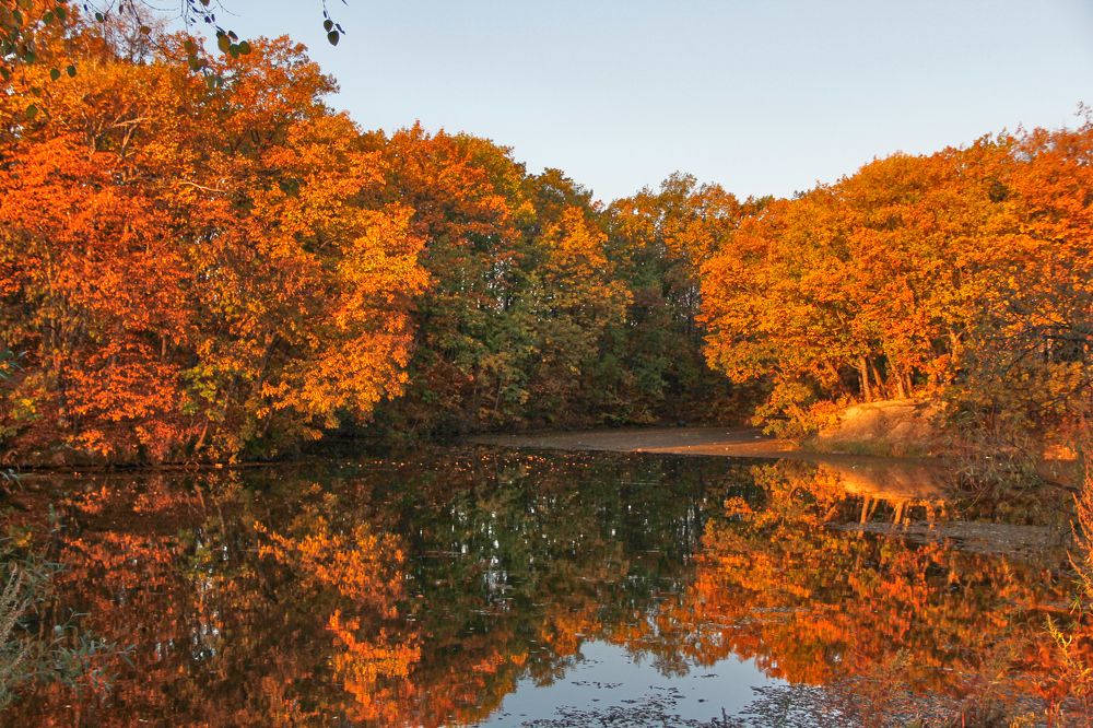 Фотография автора Наталия Мащенко