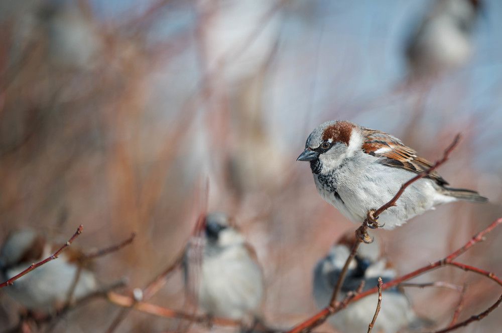 Photograph by Анастасия Жучкова