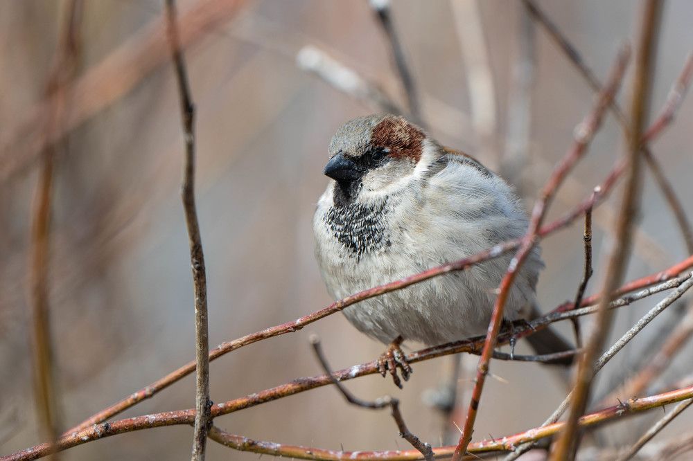 Photograph by Анастасия Жучкова