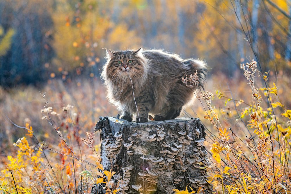 Photograph by Алексей Александрович