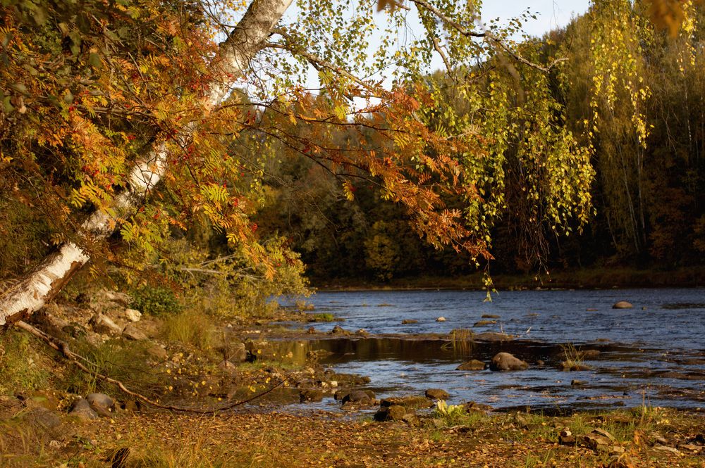 Photograph by Виктория Шажко