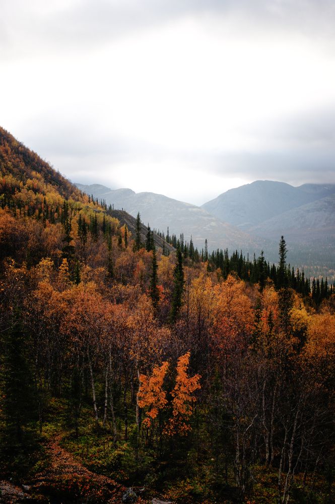 Photograph by Карина Заводчикова