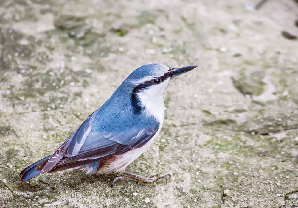 Photograph by Наталья Золотарева