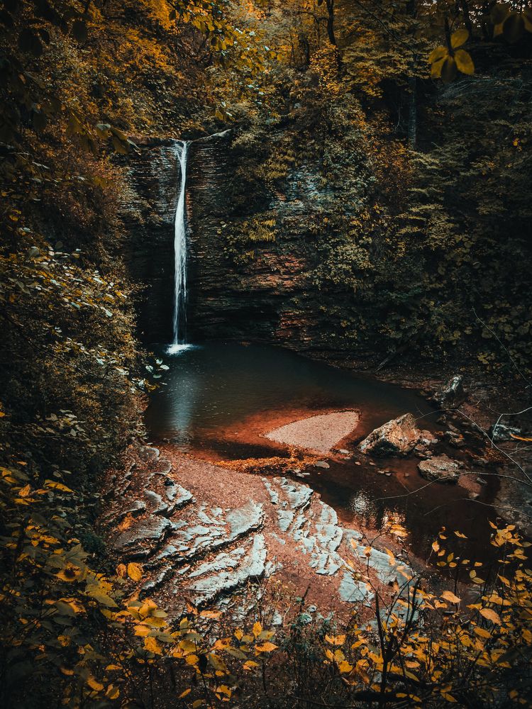 Photograph by Элен Пройс