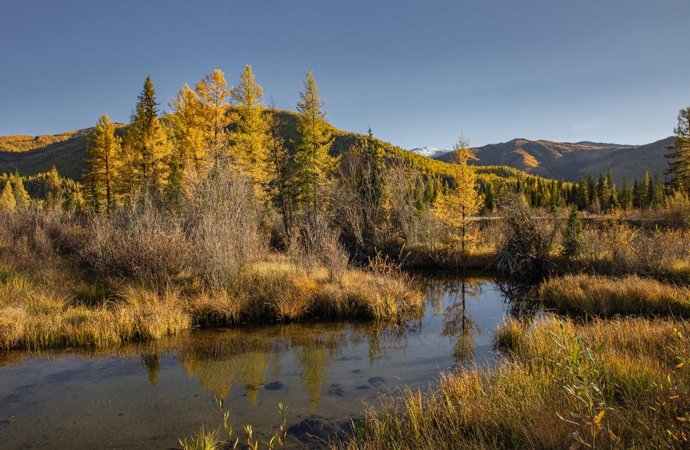 Photograph by Елена Павлова