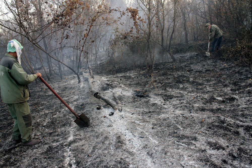 Photograph by Евгения Емельянова