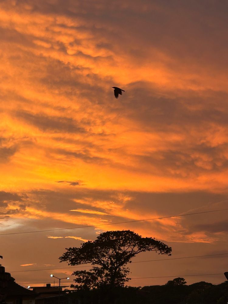 Flight into the Ember Sky