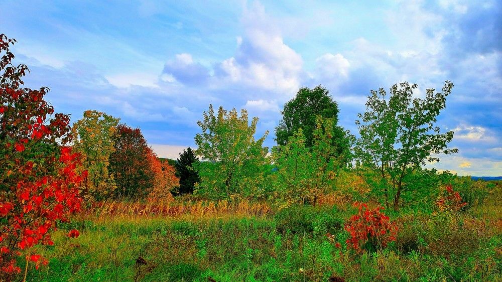 Photograph by Николай Худяков