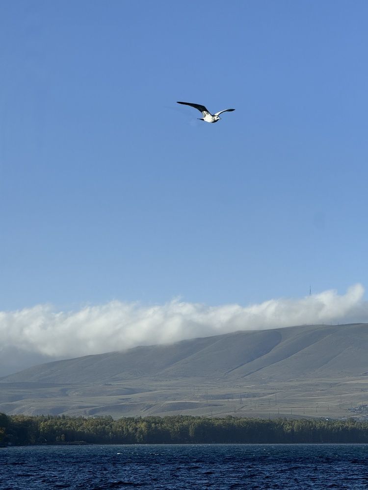 Photograph by Кристина Сидорова