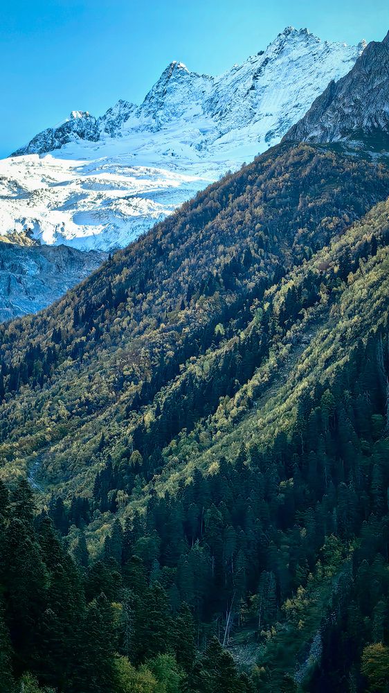 Photograph by Татьяна