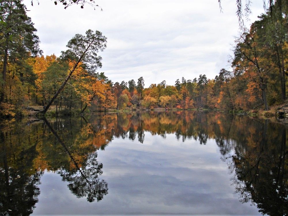 Photograph by Мила Милая